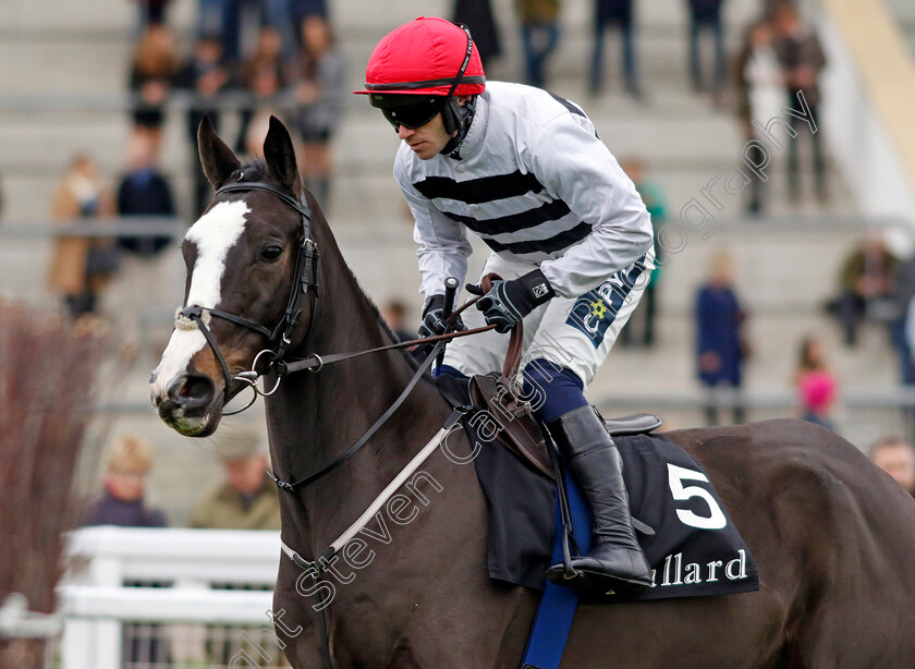 The-Other-Mozzie-0001 
 THE OTHER MOZZIE (Jonathan Burke)
Cheltenham 17 Nov 2024 - Pic Steven Cargill / Racingfotos.com