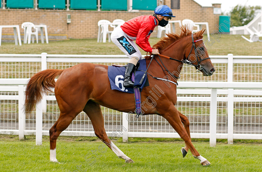 Praised-0002 
 PRAISED (Stevie Donohoe)
Yarmouth 22 Jul 2020 - Pic Steven Cargill / Racingfotos.com