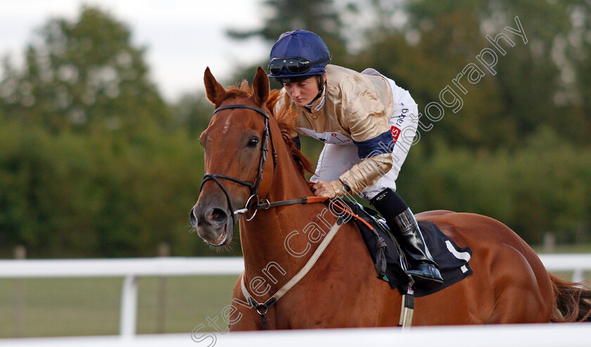 Glen-Shiel-0001 
 GLEN SHIEL (Hollie Doyle)
Chelmsford 4 Sep 2019 - Pic Steven Cargill / Racingfotos.com