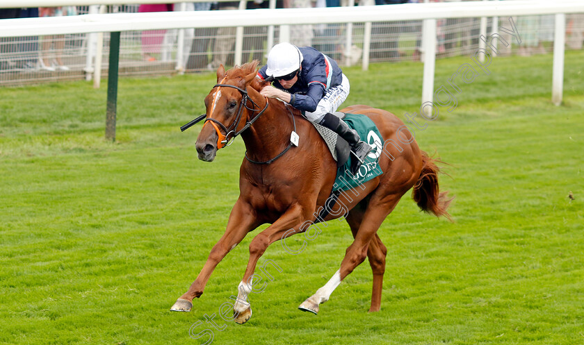 Dragon-Leader-0002 
 DRAGON LEADER (Ryan Moore) wins The Goffs UK Harry Beeby Premier Yearling Stakes
York 24 Aug 2023 - Pic Steven Cargill / Racingfotos.com