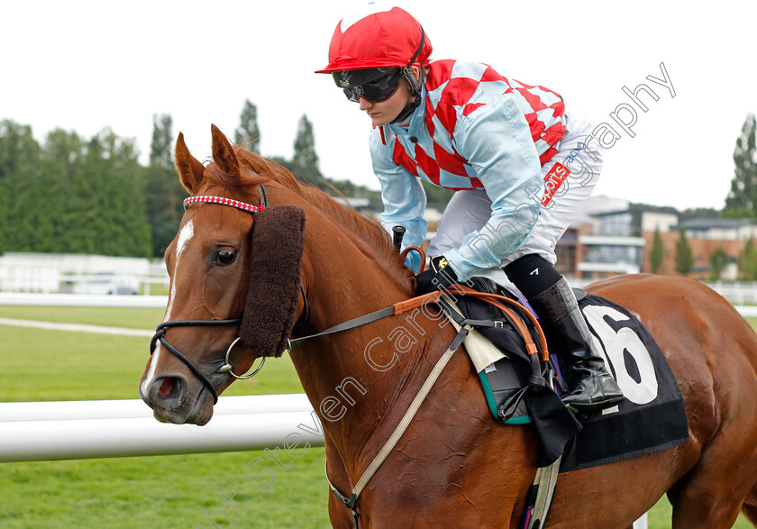 Red-Showgirl-0001 
 RED SHOWGIRL (Hollie Doyle)
Newbury 13 Aug 2021 - Pic Steven Cargill / Racingfotos.com