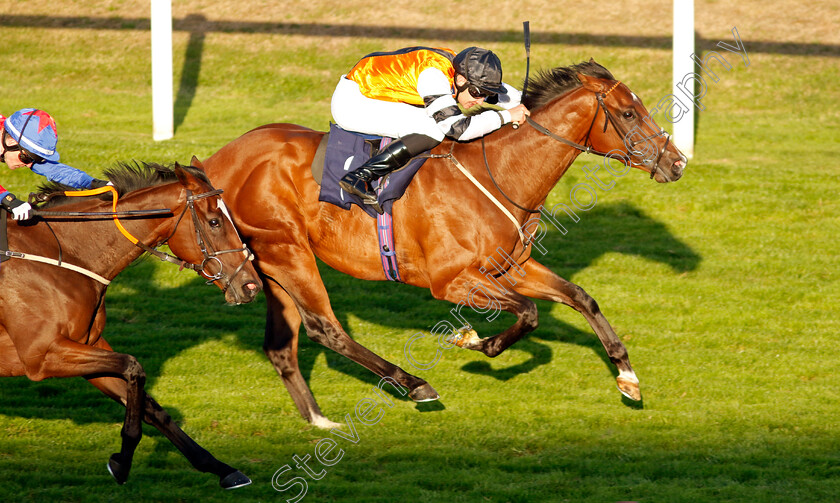 Jade-Country-0001 
 JADE COUNTRY (Charles Bishop) wins The Sky Sports Racing Sky 415 Handicap
Yarmouth 15 Sep 2022 - pic Steven Cargill / Racingfotos.com