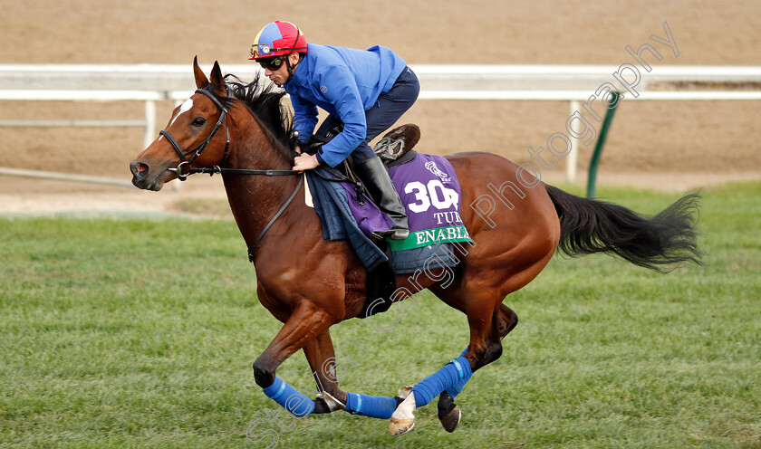 Enable-0003 
 ENABLE (Frankie Dettori) exercising ahead of The Breeders' Cup Turf
Churchill Downs 31 Oct 2018 - Pic Steven Cargill / Racingfotos.com