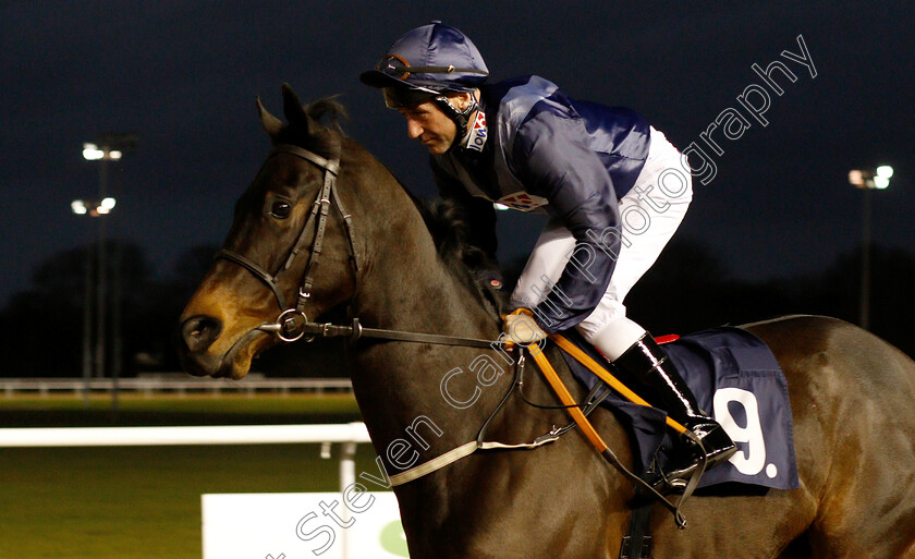 The-Throstles-0001 
 THE THROSTLES (John Egan)
Wolverhampton 28 Nov 2018 - Pic Steven Cargill / Racingfotos.com