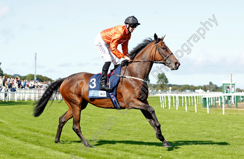 Goldie-Hawk-0001 
 GOLDIE HAWK (Jack Mitchell)
Yarmouth 15 Sep 2021 - Pic Steven Cargill / Racingfotos.com