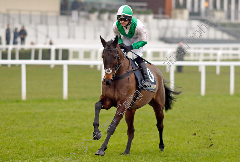 Wilful-0001 
 WILFUL (Jonjo O'Neill)
Ascot 18 Jan 2025 - Pic Steven Cargill / Racingfotos.com