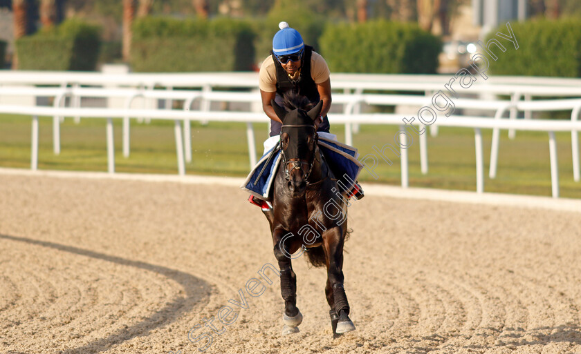 Alflaila-0007 
 ALFLAILA training for the Bahrain International Trophy
Kingdom of Bahrain 13 Nov 2024 - Pic Steven Cargill / Racingfotos.com