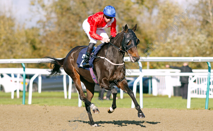 Propriety 
 PROPRIETY (Jason Watson)
Lingfield 28 Oct 2021 - Pic Steven Cargill / Raingfotos.com