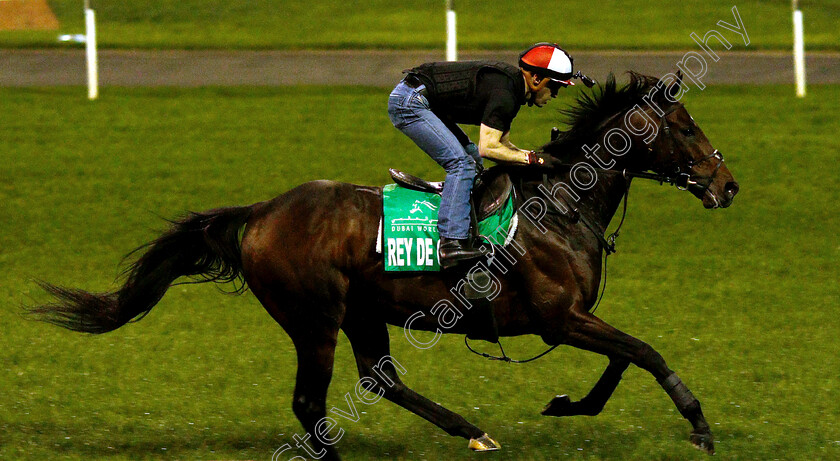 Red-Do-Oro-0003 
 REY DE ORO training for the Dubai Sheema Classic
Meydan 27 Mar 2019 - Pic Steven Cargill / Racingfotos.com