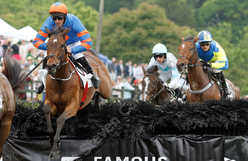 Stooshie-0003 
 STOOSHIE (Davy Russell) on his way to finishing 2nd in the Bright Hour Handicap Hurdle
Percy Warner Park, Nashville Tennessee USA 11 May 2019 - Pic Steven Cargill / Racingfotos.com