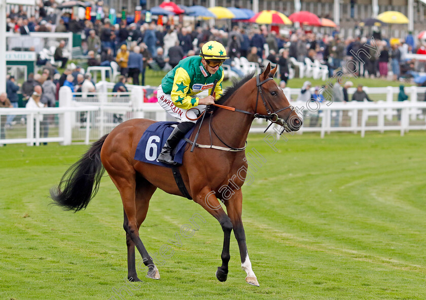 Dancing-Eyes-0001 
 DANCING EYES (Tom Marquand)
Yarmouth 19 Sep 2023 - Pic Steven Cargill / Racingfotos.com