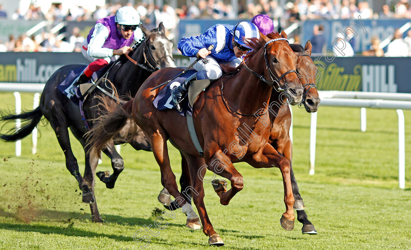 Molatham-0005 
 MOLATHAM (Jim Crowley) wins The Weatherbys Global Stallions App Flying Scotsman Stakes
Doncaster 13 Sep 2019 - Pic Steven Cargill / Racingfotos.com