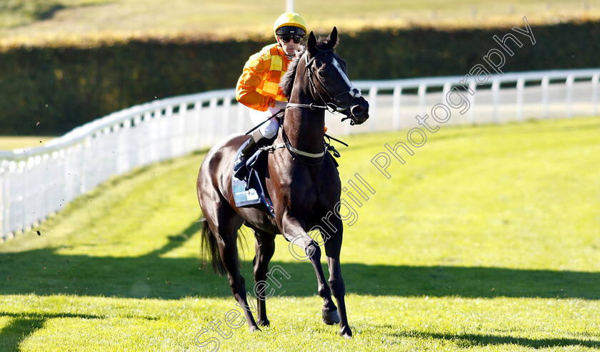 Colonial-Classic-0001 
 COLONIAL CLASSIC (Martin Harley)
Goodwood 26 Sep 2018 - Pic Steven Cargill / Racingfotos.com