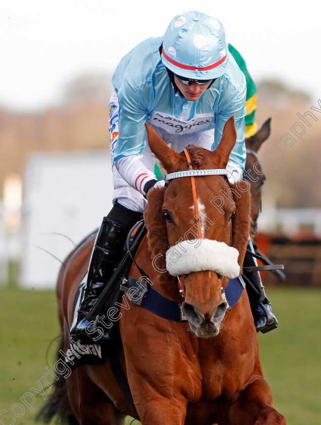 Another-Venture-0007 
 ANOTHER VENTURE (Mikey Hamill) Ascot 17 Feb 2018 - Pic Steven Cargill / Racingfotos.com