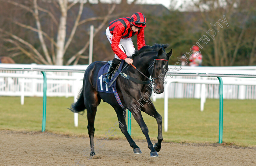 Gunnar-Julius-0001 
 GUNNAR JULIUS (Luke Morris) Lingfield 10 Jan 2018 - Pic Steven Cargill / Racingfotos.com