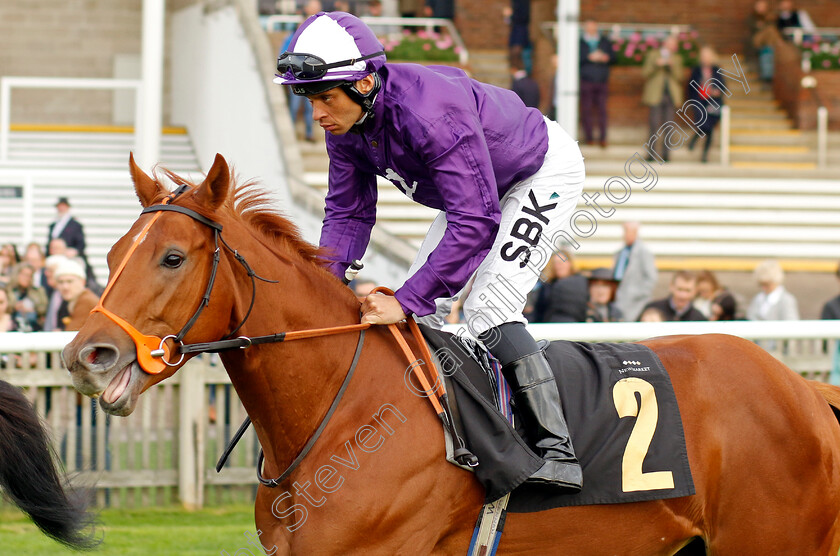 Dancing-0001 
 DANCING (Sean Levey)
Newmarket 29 Oct 2022 - Pic Steven Cargill / Racingfotos.com