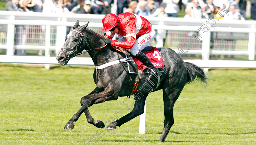 Diese-Des-Bieffes-0002 
 DIESE DES BIEFFES (Noel Fehily) wins The Citipost Novices Hurdle Cheltenham 18 Apr 2018 - Pic Steven Cargill / Racingfotos.com