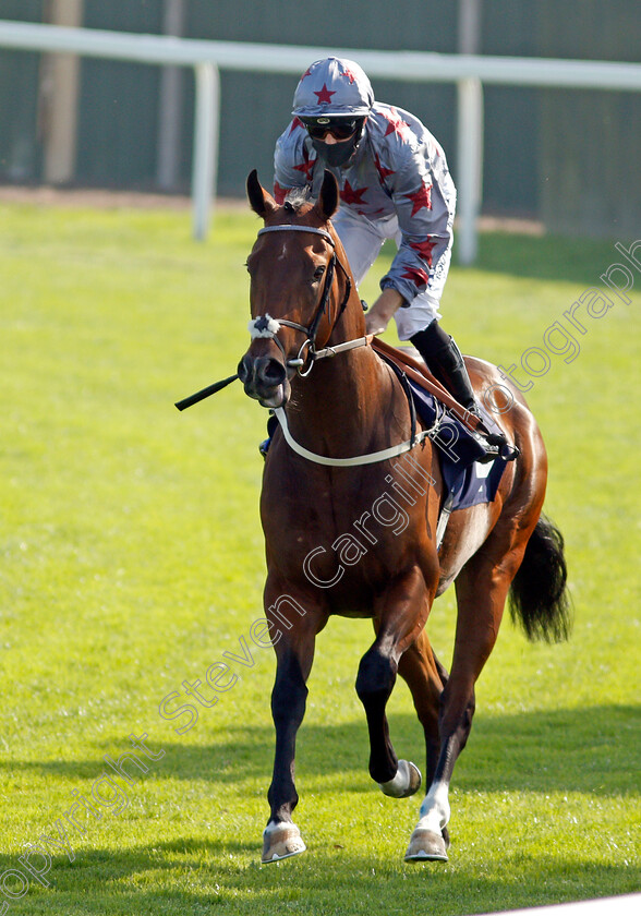 Sonderbar-0002 
 SONDERBAR (Ben Curtis)
Yarmouth 15 Sep 2020 - Pic Steven Cargill / Racingfotos.com