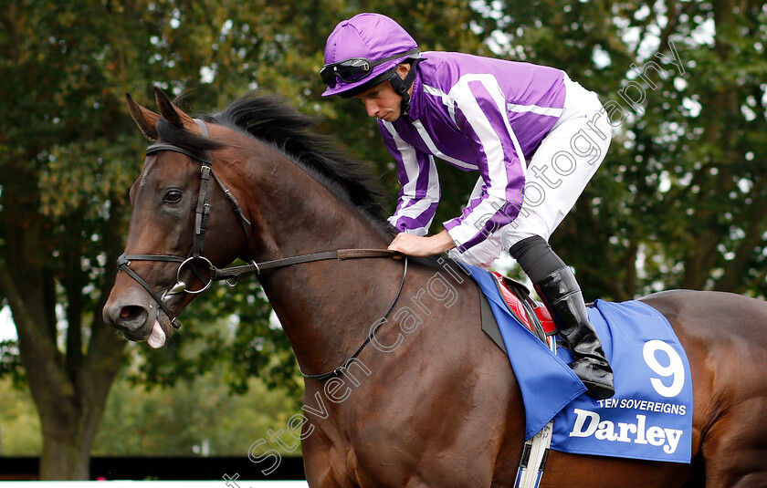 Ten-Sovereigns-0002 
 TEN SOVEREIGNS (Ryan Moore) before The Darley July Cup
Newmarket 13 Jul 2019 - Pic Steven Cargill / Racingfotos.com