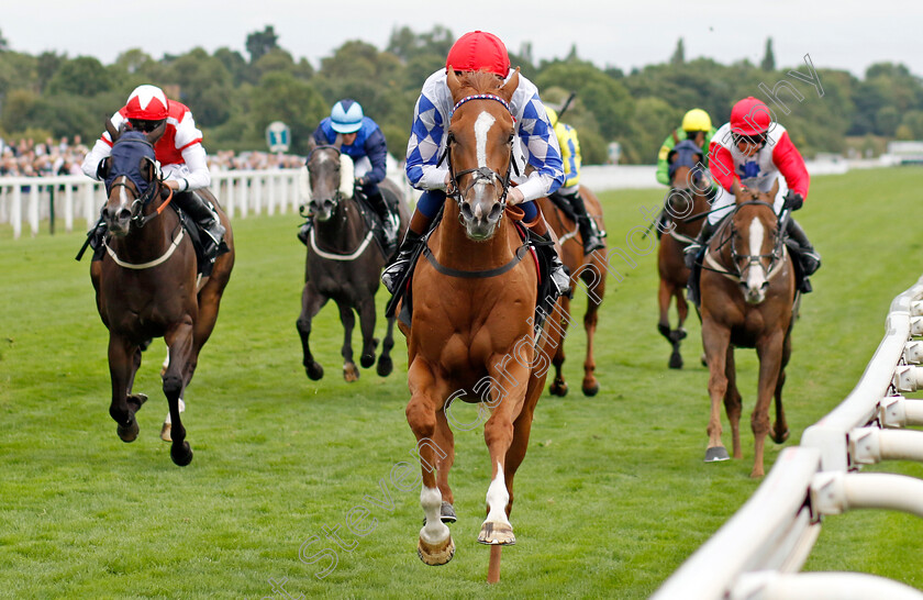 Designer-0003 
 DESIGNER (David Egan) wins The Celebrate ITM's 200th Ire Voucher Winner Handicap
York 17 Aug 2022 - Pic Steven Cargill / Racingfotos.com