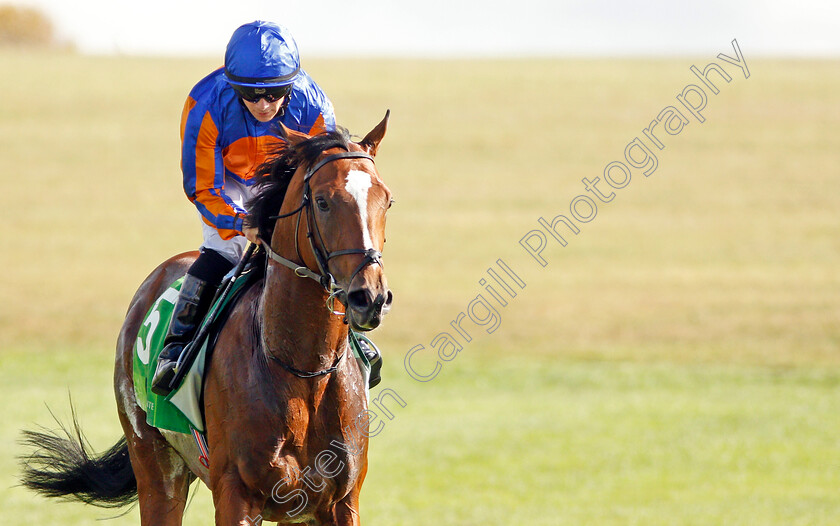 Royal-Dornoch-0005 
 ROYAL DORNOCH (Wayne Lordan) after The Juddmonte Royal Lodge Stakes
Newmarket 28 Sep 2019 - Pic Steven Cargill / Racingfotos.com