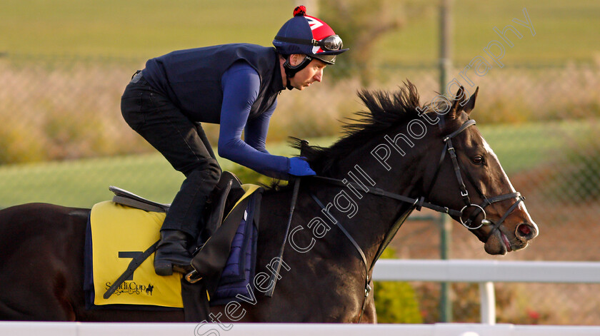 Pyledriver-0004 
 PYLEDRIVER training for the Turf Cup
King Abdulaziz Racetrack, Riyadh, Saudi Arabia 24 Feb 2022 - Pic Steven Cargill / Racingfotos.com