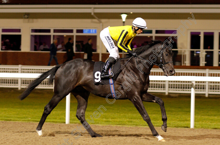 Sheriff-0001 
 SHERIFF (Sean Levey) Chelmsford 16 Nov 2017 - pic Steven Cargill / Racingfotos.com