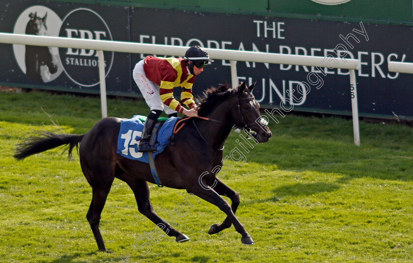 Flyin -Solo-0005 
 FLYIN' SOLO (Rossa Ryan) wins The Conundrum HR Consulting Handicap
York 12 May 2021 - Pic Steven Cargill / Racingfotos.com