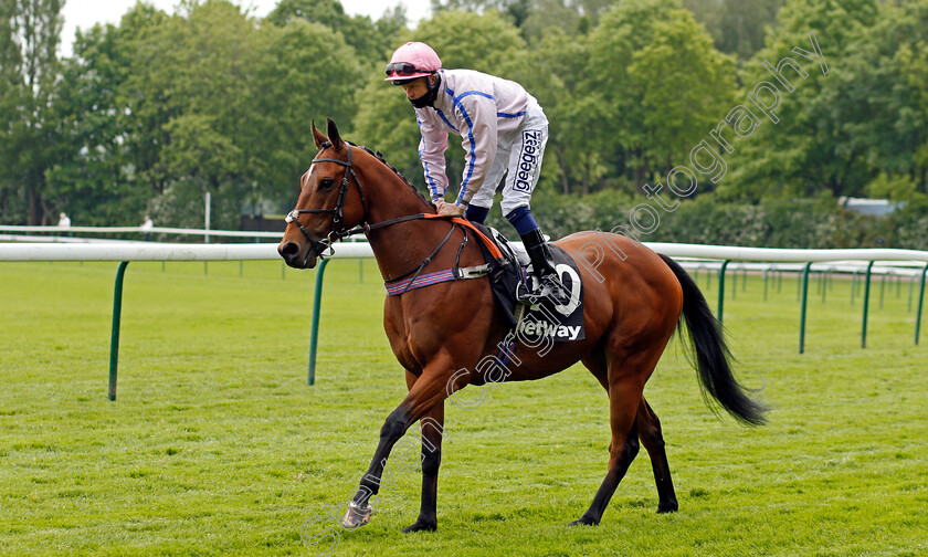 Zargun-0001 
 ZARGUN (David Probert)
Haydock 29 May 2021 - Pic Steven Cargill / Racingfotos.com