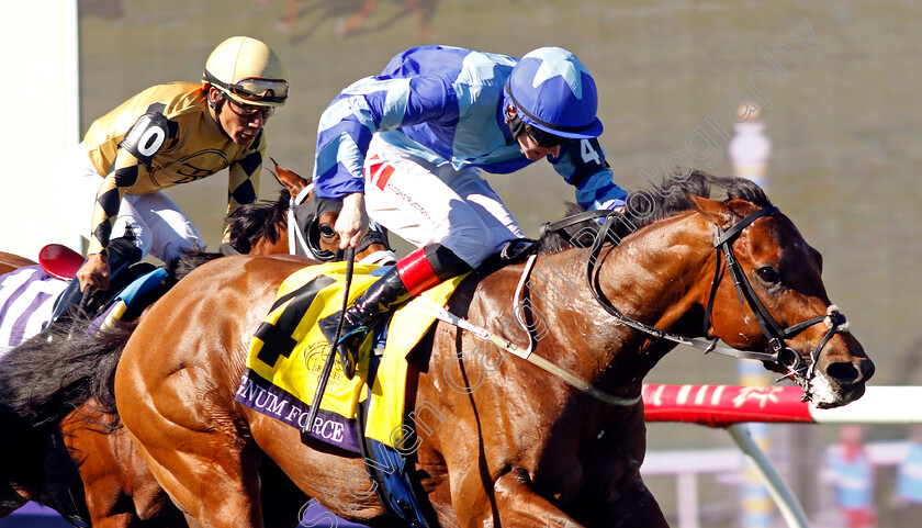 Magnum-Force-0001 
 MAGNUM FORCE (Colin Keane) wins the Breeders' Cup Juvenile Turf Sprint
Del Mar USA 1 Nov 2024 - Pic Steven Cargill / Racingfotos.com