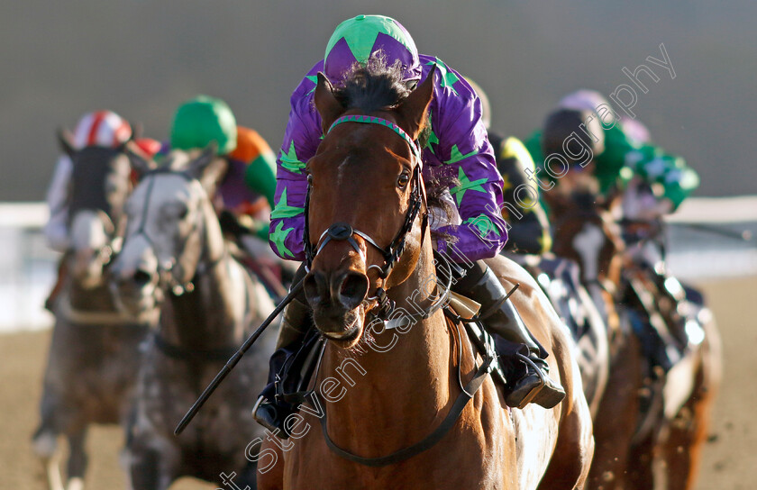 All-The-King s-Men-0001 
 ALL THE KING'S MEN (Ryan Moore) wins The Spreadex Sports Get £40 In Bonuses Handicap
Lingfield 21 Jan 2023 - Pic Steven Cargill / Racingfotos.com