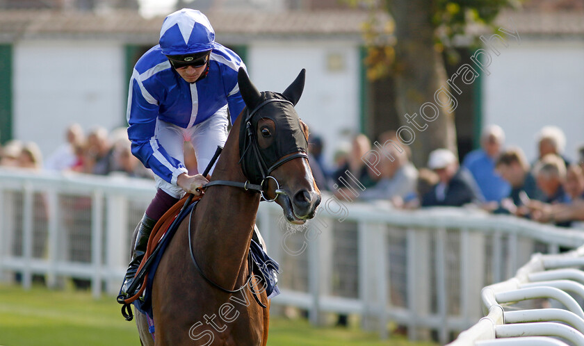 Dash-Of-Azure-0001 
 DASH OF AZURE (Rob Hornby)
Yarmouth 18 Sep 2024 - Pic Steven Cargill / Racingfotos.com