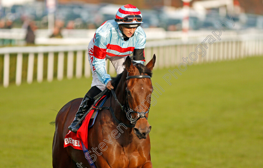 Vintage-Folly-0001 
 VINTAGE FOLLY (Josephine Gordon) Doncaster 11 Nov 2017 - Pic Steven Cargill / Racingfotos.com