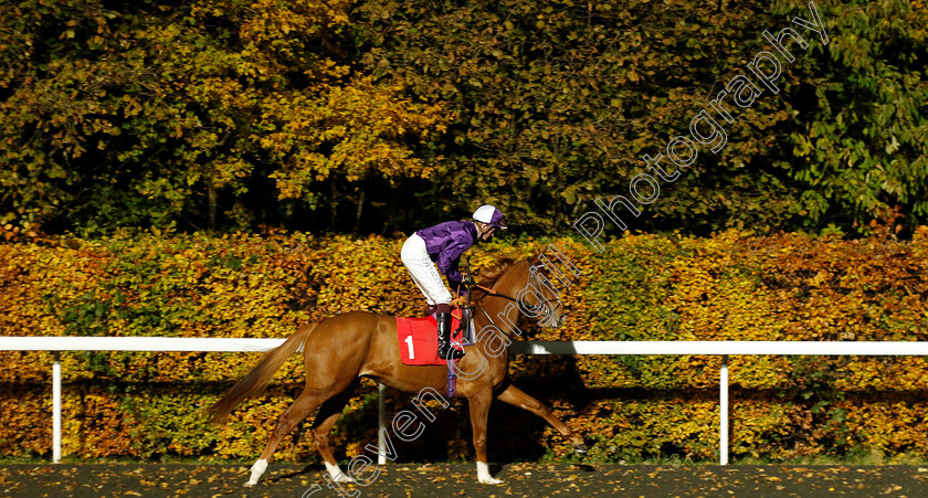 Courageous-Strike-0002 
 COURAGEOUS STRIKE (Rob Hornby)
Kempton 15 Nov 2023 - Pic Steven Cargill / Racingfotos.com