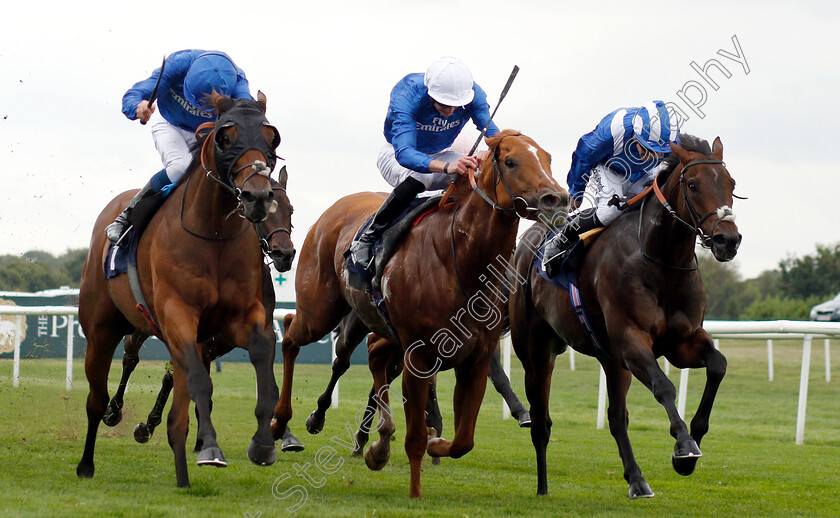 Mustashry-0004 
 MUSTASHRY (right, Jim Crowley) beats DUTCH CONNECTION (centre) and D'BAI (left) in The Alan Wood Plumbing And Heating Park Stakes
Doncaster 15 Sep 2018 - Pic Steven Cargill / Racingfotos.com