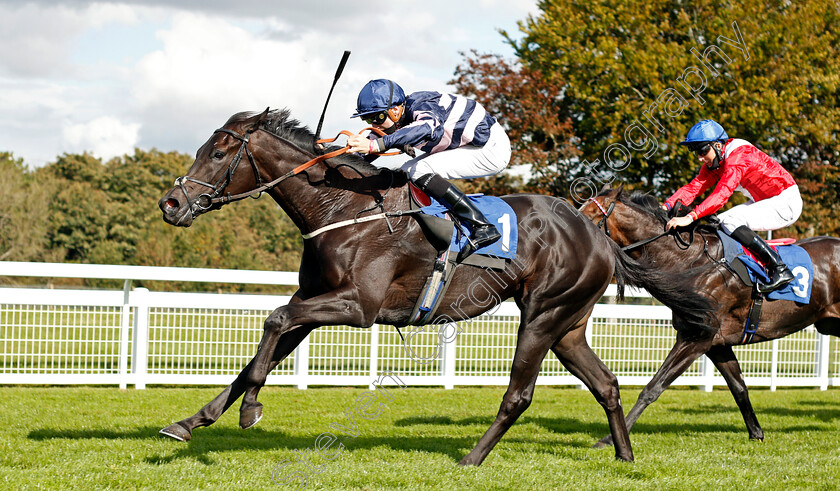 Champagne-Piaff-0003 
 CHAMPAGNE PIAFF (Hector Crouch) wins The Byerley Stud British EBF Novice Stakes Div2
Salisbury 1 Oct 2020 - Pic Steven Cargill / Racingfotos.com