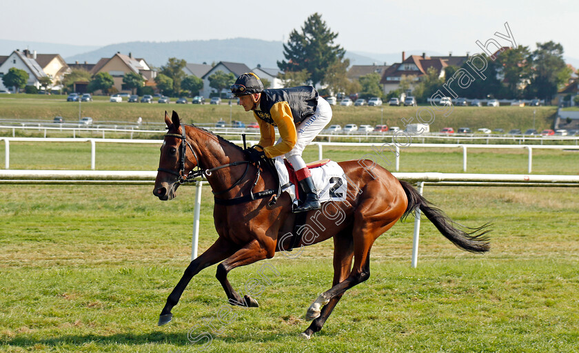 Narmada-0001 
 NARMADA (Martin Seidl)
Baden Baden 31 Aug 2024 - Pic Steven Cargill / Racingfotos.com