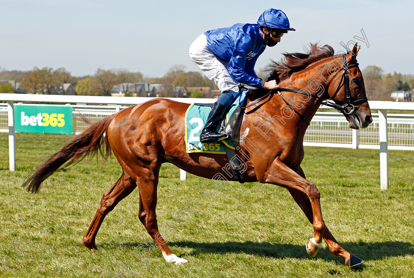 Quintillus-0001 
 QUINTILLUS (William Buick)
Sandown 23 Apr 2021 - Pic Steven Cargill / Racingfotos.com