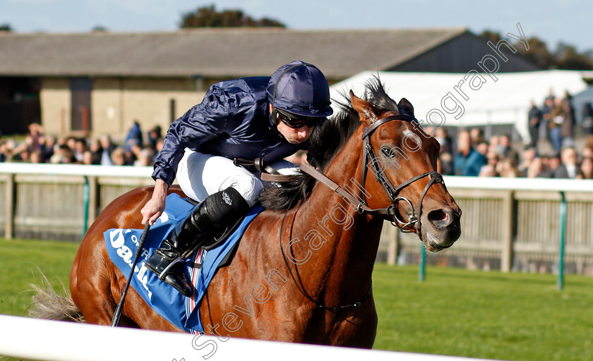 City-Of-Troy-0005 
 CITY OF TROY (Ryan Moore) wins The Dewhurst Stakes
Newmarket 14 Oct 2023 - Pic Steven Cargill / Racingfotos.com