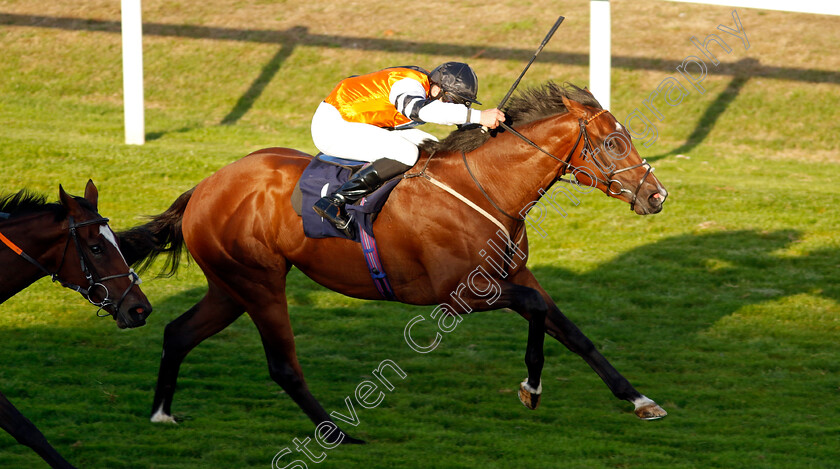 Jade-Country-0002 
 JADE COUNTRY (Charles Bishop) wins The Sky Sports Racing Sky 415 Handicap
Yarmouth 15 Sep 2022 - pic Steven Cargill / Racingfotos.com