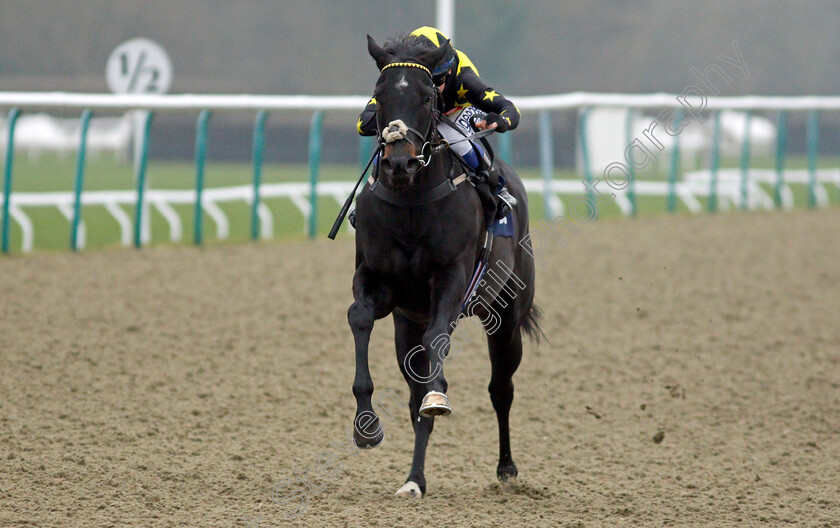 Wyvern-0008 
 WYVERN (Marco Ghiani) wins The Mansionbet Beaten By A Head Median Auction Maiden Stakes
Lingfield 25 Jan 2022 - Pic Steven Cargill / Racingfotos.com