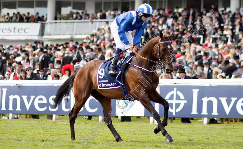 Madhmoon-0002 
 MADHMOON (Chris Hayes)
Epsom 1 Jun 2019 - Pic Steven Cargill / Racingfotos.com