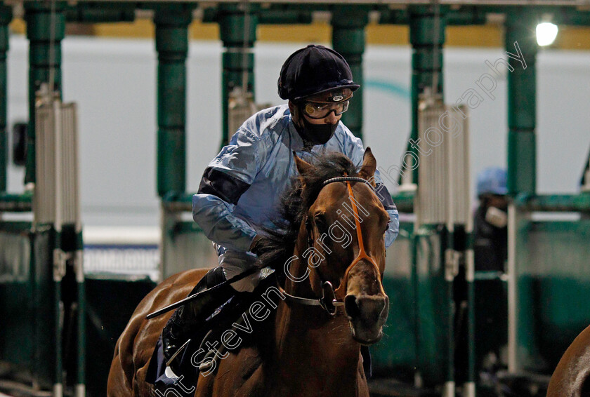 Host-0004 
 HOST (Thore Hammer Hansen)
Wolverhampton 11 Jan 2021 - Pic Steven Cargill / Racingfotos.com