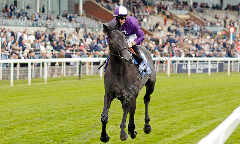 King-Of-Steel-0002 
 KING OF STEEL (Kevin Stott)
York 18 May 2023 - Pic Steven Cargill / Racingfotos.com