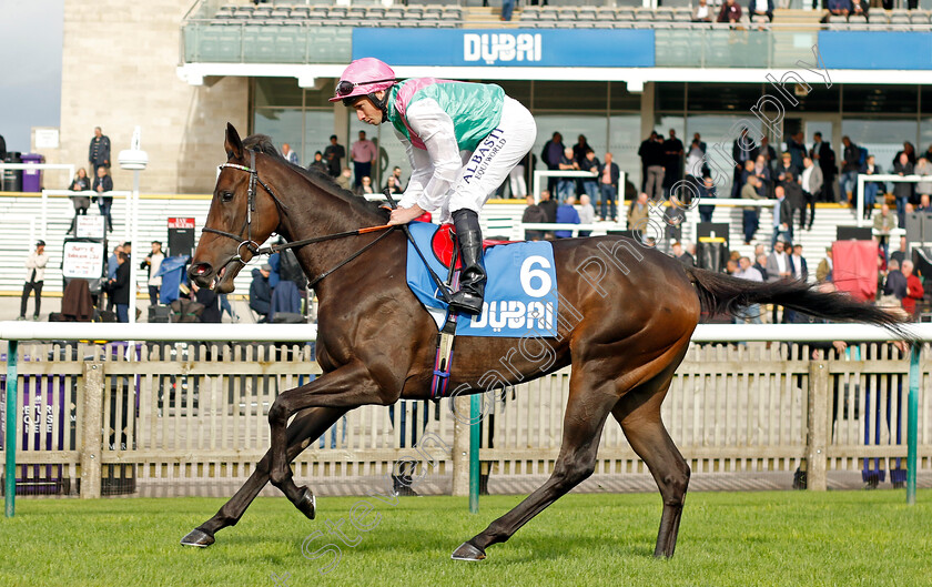 Skellet-0001 
 SKELLET (Ryan Moore)
Newmarket 13 Oct 2023 - Pic Steven Cargill / Racingfotos.com