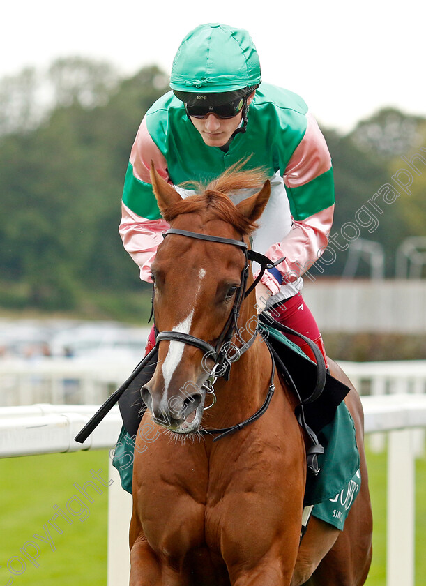 Nazalan-0001 
 NAZALAN (David Egan)
York 24 Aug 2023 - Pic Steven Cargill / Racingfotos.com