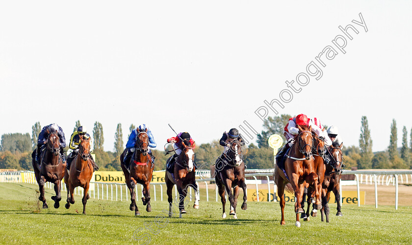 Tritonic-0003 
 TRITONIC (Oisin Murphy) wins The Haynes Hanson & Clark Conditions Stakes
Newbury 20 Sep 2019 - Pic Steven Cargill / Racingfotos.com