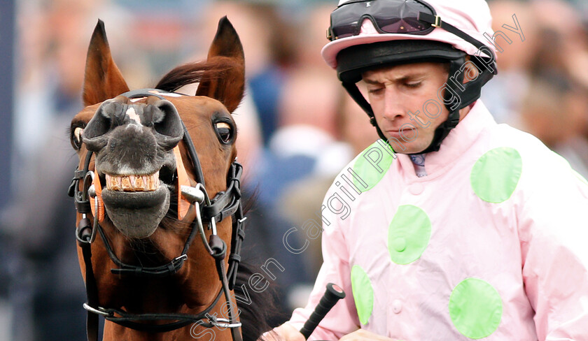 Thomas-Hobson-0002 
 THOMAS HOBSON (Ryan Moore) before winning The Doncaster Cup Stakes
Doncaster 14 Sep 2018 - Pic Steven Cargill / Racingfotos.com