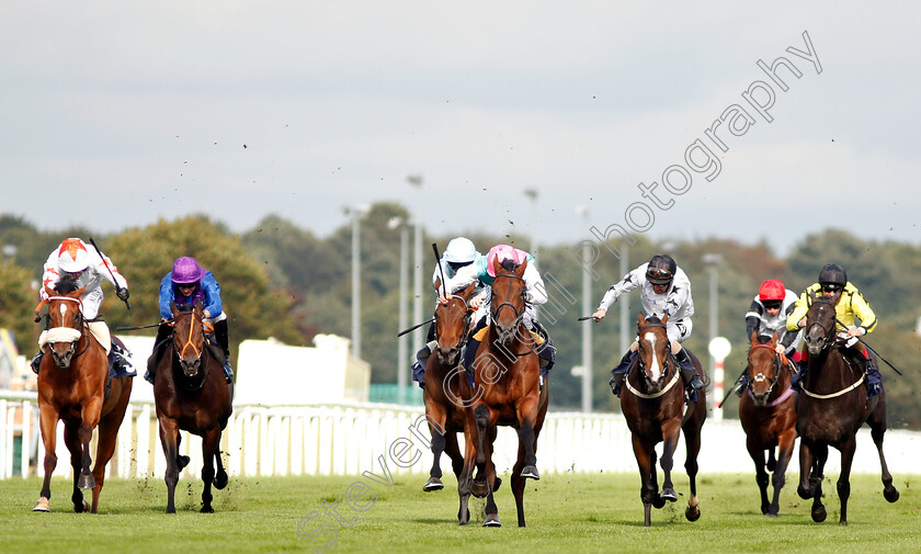 Sangarius-0004 
 SANGARIUS (centre, Ryan Moore) wins The Weatherbys Global Stallions App Flying Scotsman Stakes
Doncaster 14 Sep 2018 - Pic Steven Cargill / Racingfotos.com