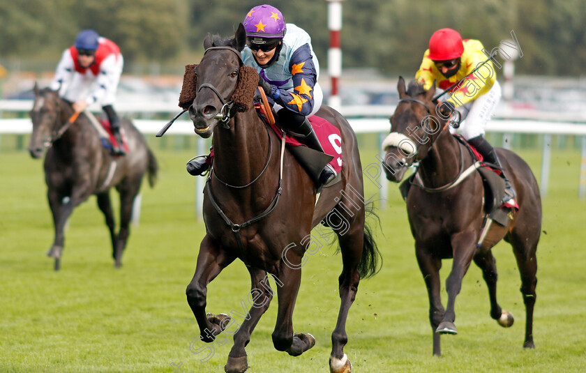 Hyperfocus-0006 
 HYPERFOCUS (Rachel Richardson) wins The More Ways To Win On Betfair Handicap
Haydock 4 Sep 2020 - Pic Steven Cargill / Racingfotos.com